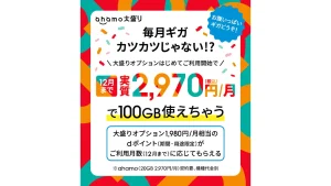 大盛りオプション実質0円キャンペーン