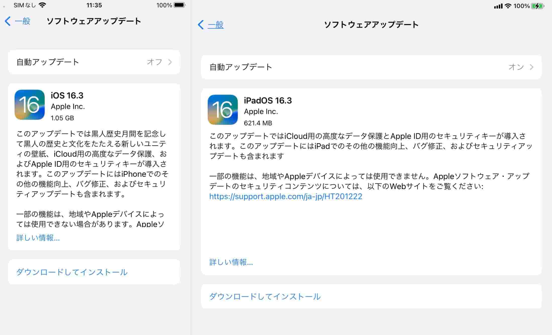 iOS 16.3/iPad OS 16.3