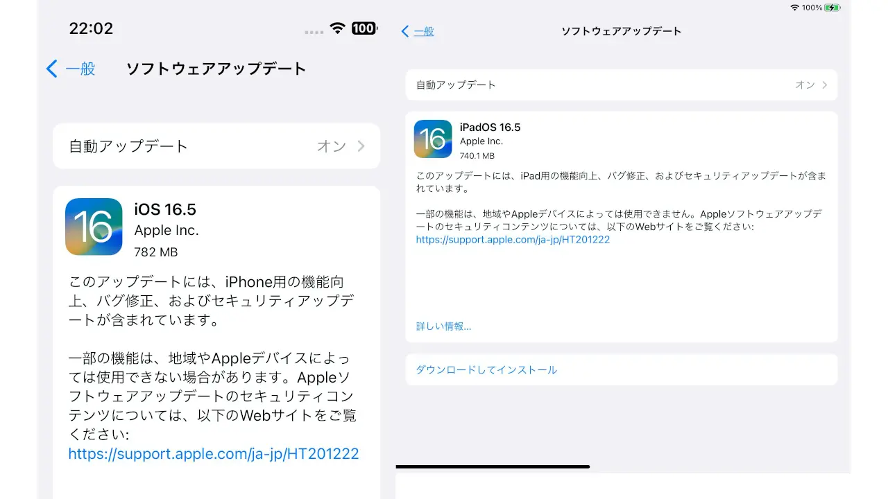 iOS 16.5/iPadOS 16.5